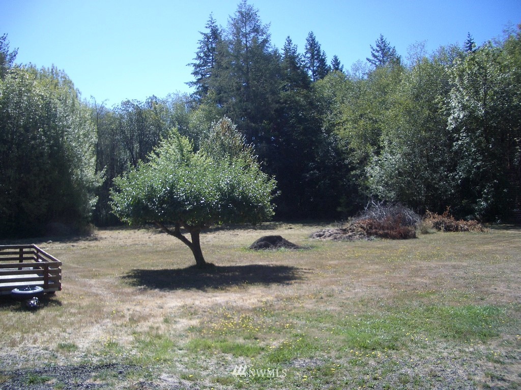 41 East Lighthouse Road Shelton, WA 98584 - Photo 5 of 25 Gallery Image 5