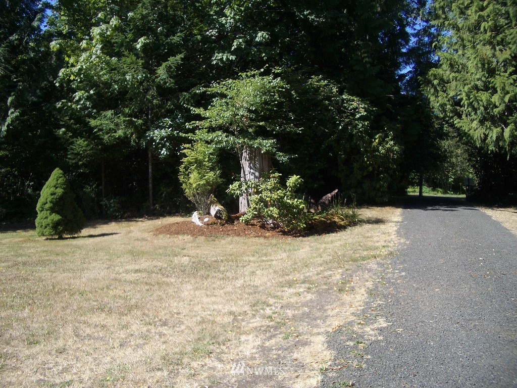 41 East Lighthouse Road Shelton, WA 98584 - Photo 6 of 25 Gallery Image 6