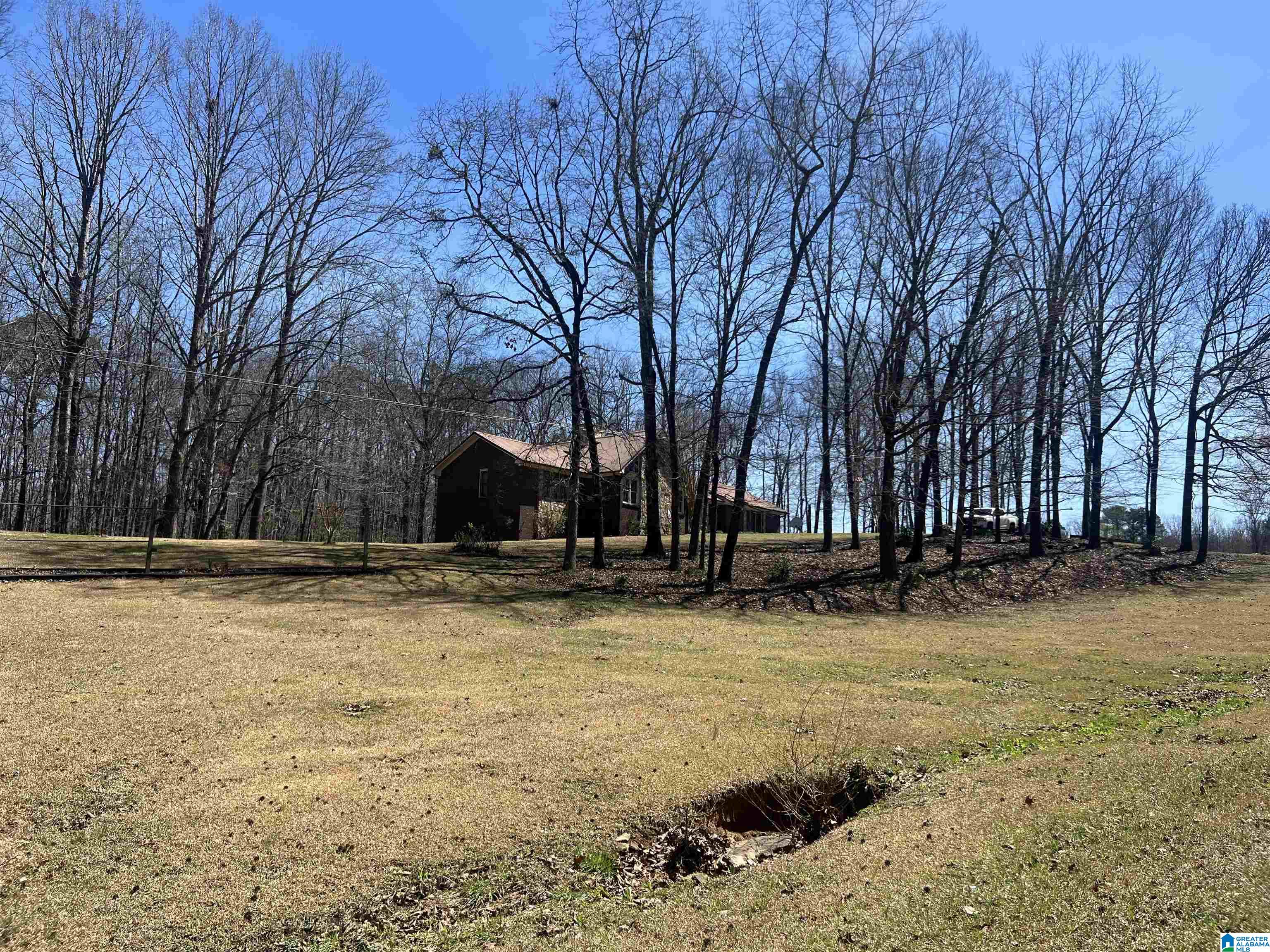 705 Mountain Top Loop Road Pell City, AL 35128 - Photo 60 of 62 Gallery Image 60