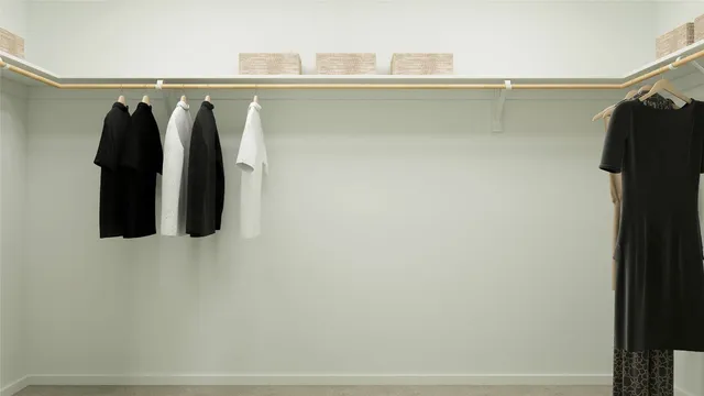 a close view of walk in closet