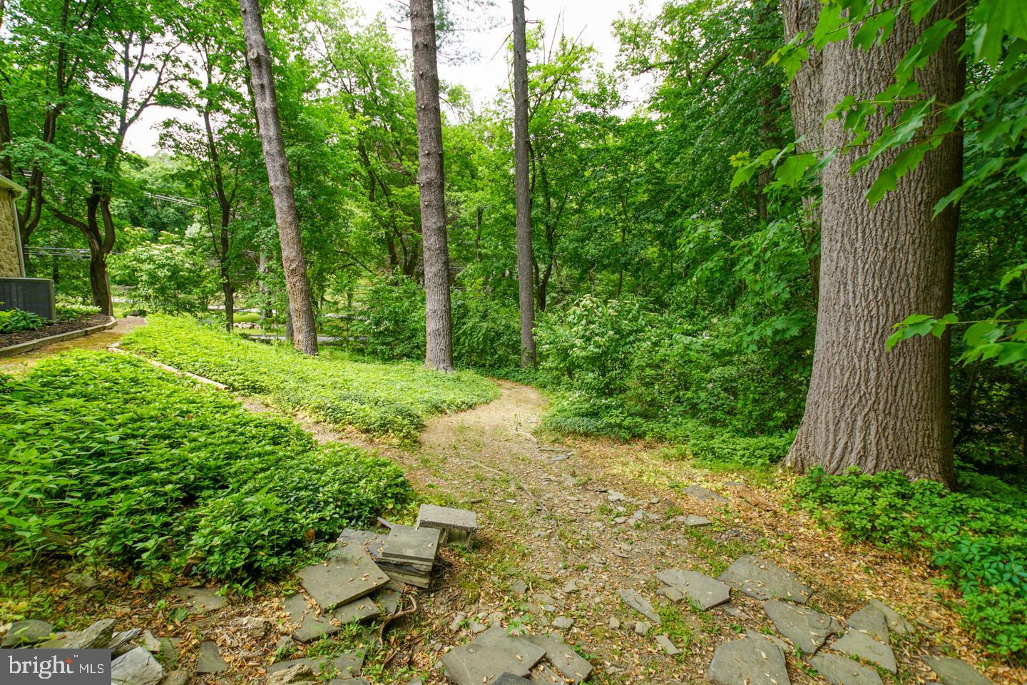 1385 Mill Road Jenkintown, PA 19046 - Photo 15 of 31