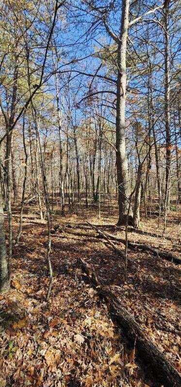 0 Woods Road Dunlap, TN 37327 - Photo 11 of 20 image000009