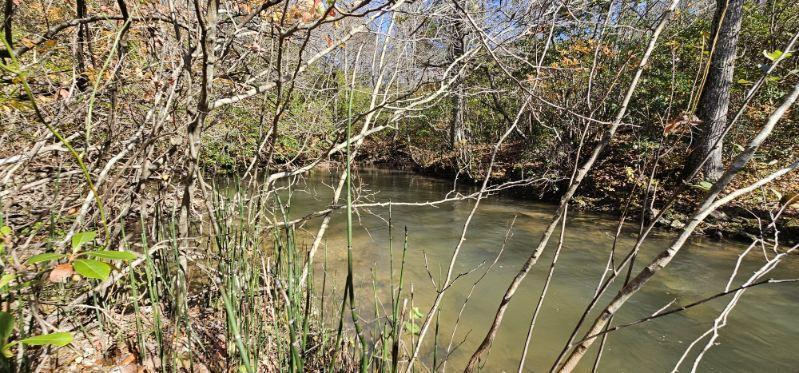 0 Woods Road Dunlap, TN 37327 - Photo 12 of 20 image000003