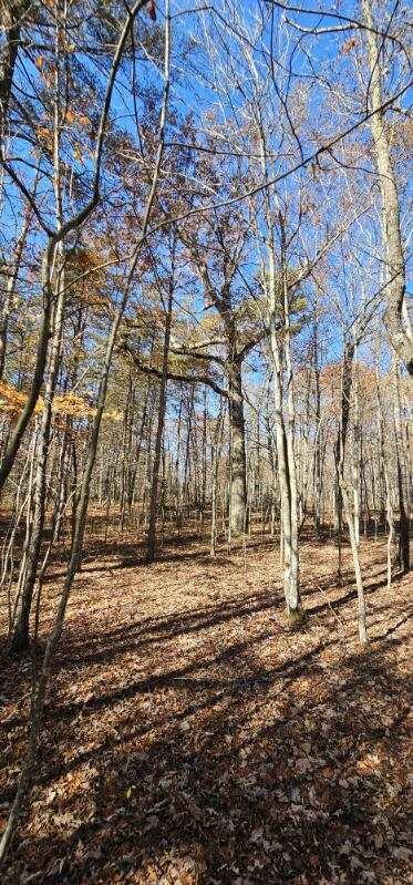 0 Woods Road Dunlap, TN 37327 - Photo 13 of 20 image000006