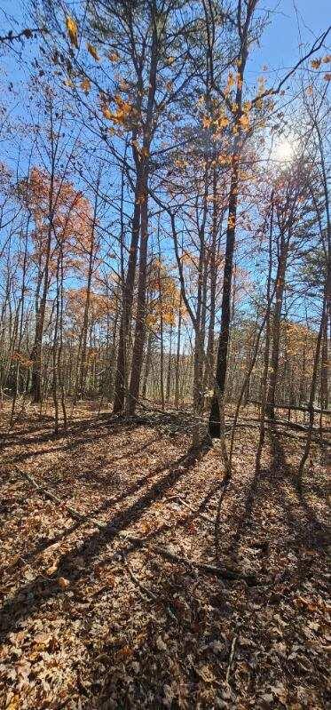 0 Woods Road Dunlap, TN 37327 - Photo 14 of 20 image000004