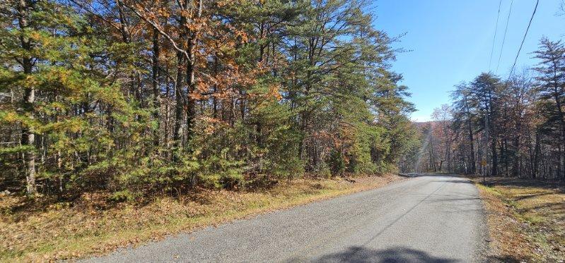 0 Woods Road Dunlap, TN 37327 - Photo 16 of 20 image000007