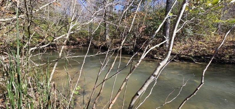 0 Woods Road Dunlap, TN 37327 - Photo 2 of 20 image000005