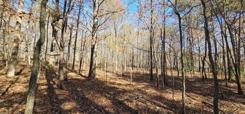 0 Woods Road Dunlap, TN 37327 - Photo 4 of 20 image000007