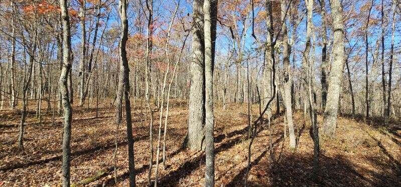 0 Woods Road Dunlap, TN 37327 - Photo 6 of 20 image000000