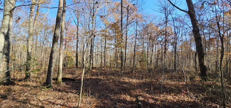 0 Woods Road Dunlap, TN 37327 - Photo 7 of 20 image000008