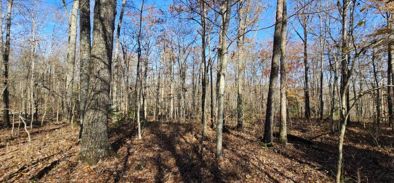 0 Woods Road Dunlap, TN 37327 - Photo 8 of 20 image000009
