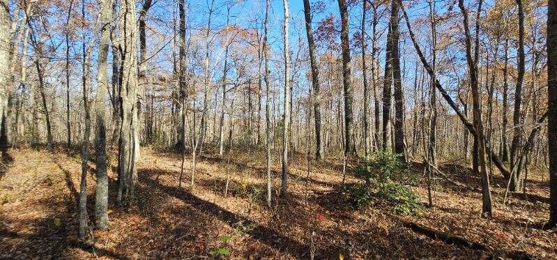 0 Woods Road Dunlap, TN 37327 - Photo 9 of 20 image000001