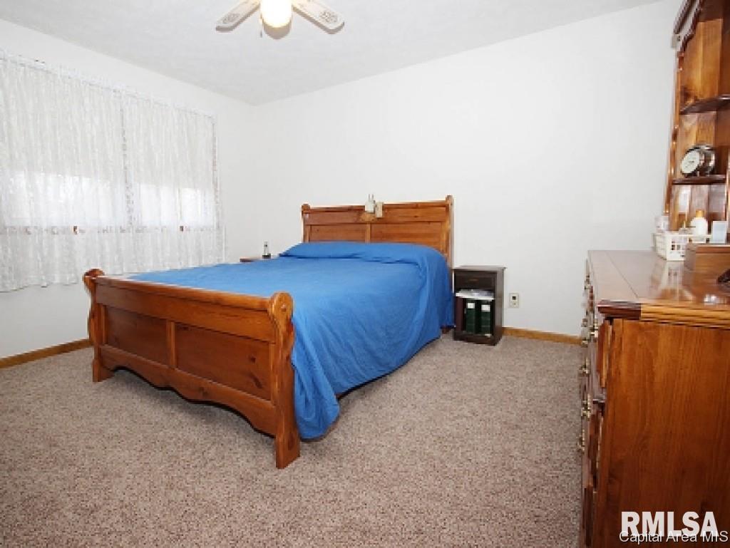 23237 Clemens Road Athens, IL 62613 - Photo 14 of 28 Gallery Image 14