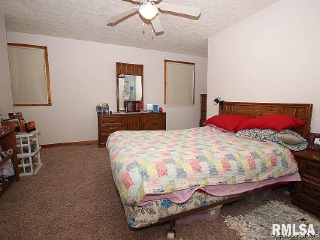 23237 Clemens Road Athens, IL 62613 - Photo 16 of 28 Gallery Image 16