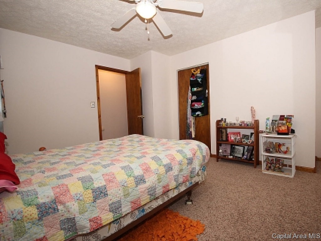 23237 Clemens Road Athens, IL 62613 - Photo 17 of 28 Gallery Image 17