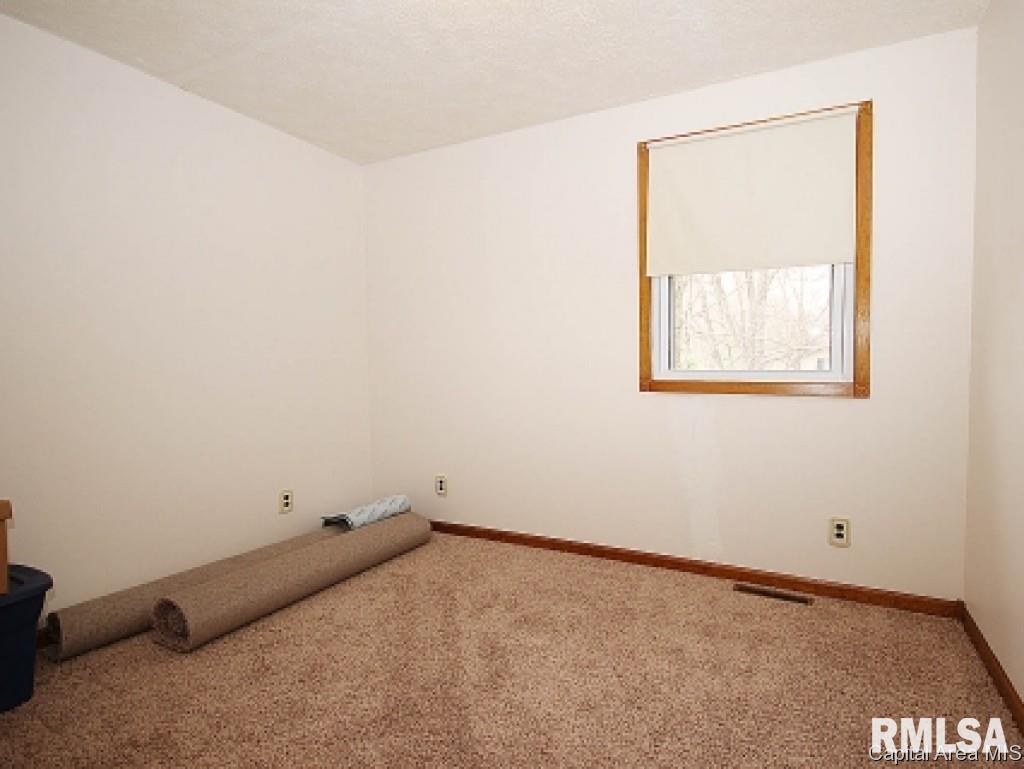 23237 Clemens Road Athens, IL 62613 - Photo 19 of 28 Gallery Image 19