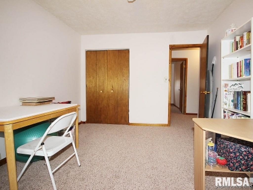 23237 Clemens Road Athens, IL 62613 - Photo 21 of 28 Gallery Image 21