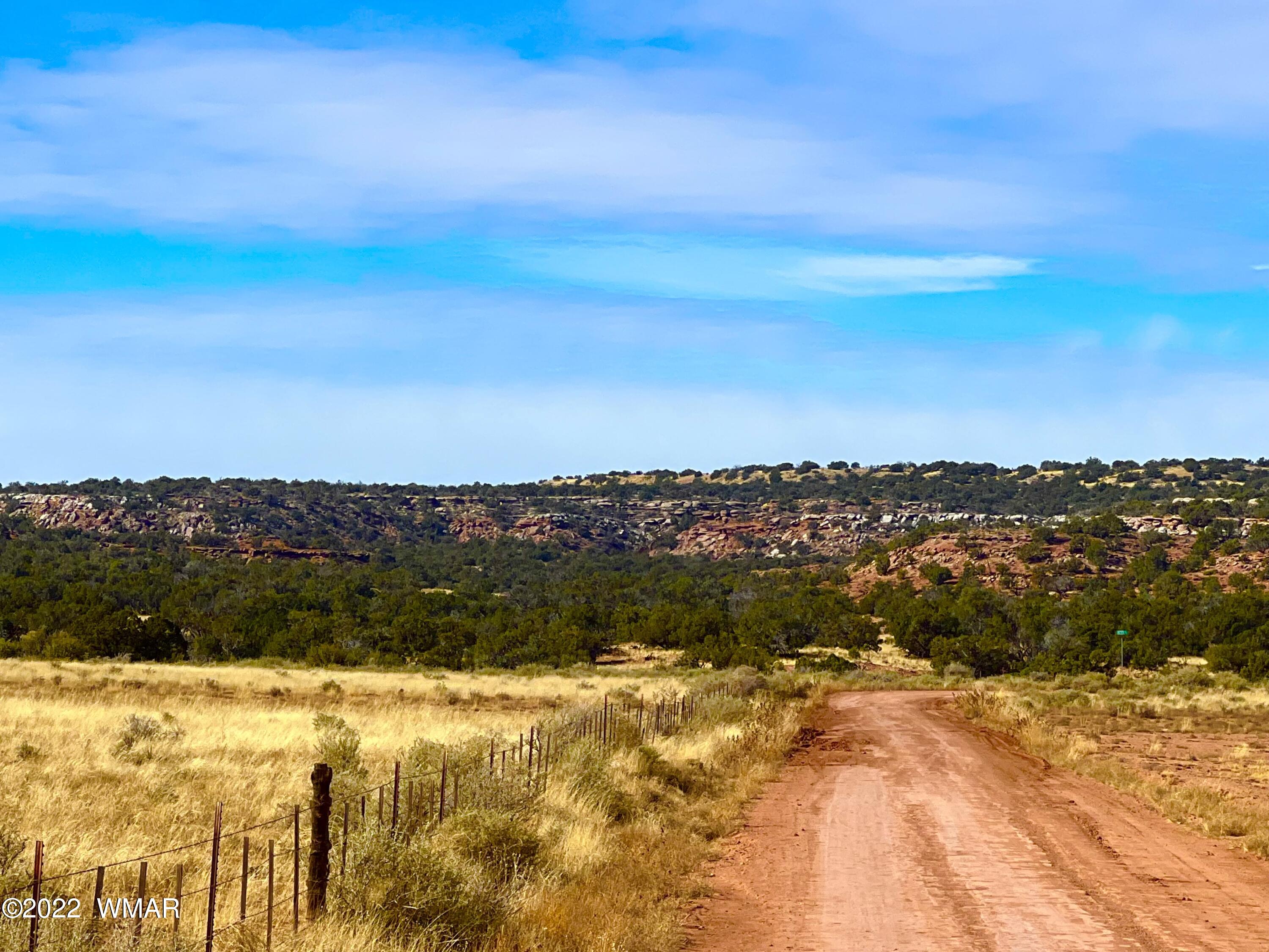 40.45 Acres Snowflake Az 85937 Snowflake, AZ 85937 - Photo 1 of 38