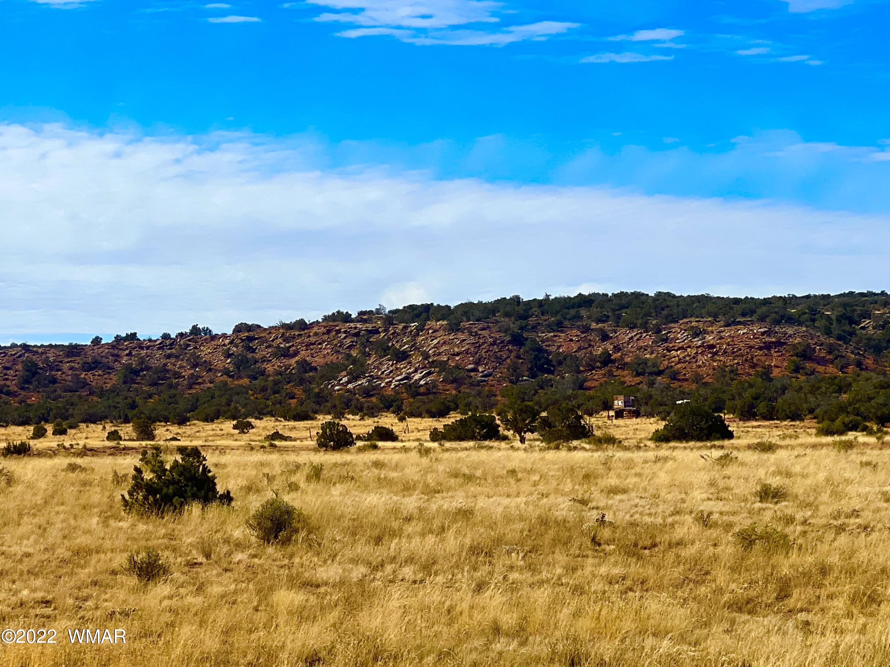 40.45 Acres Snowflake Az 85937 Snowflake, AZ 85937 - Photo 11 of 38