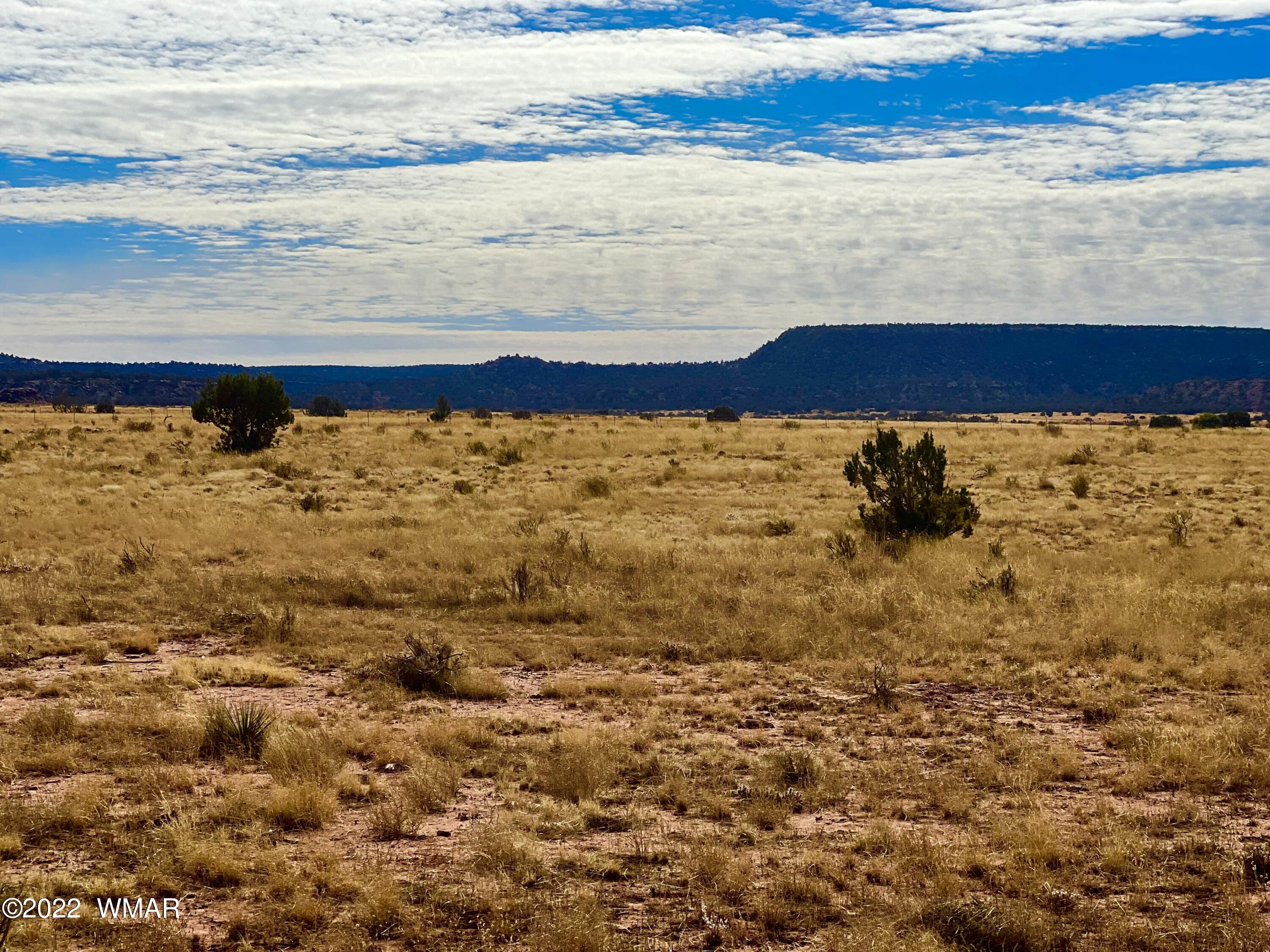 40.45 Acres Snowflake Az 85937 Snowflake, AZ 85937 - Photo 17 of 38