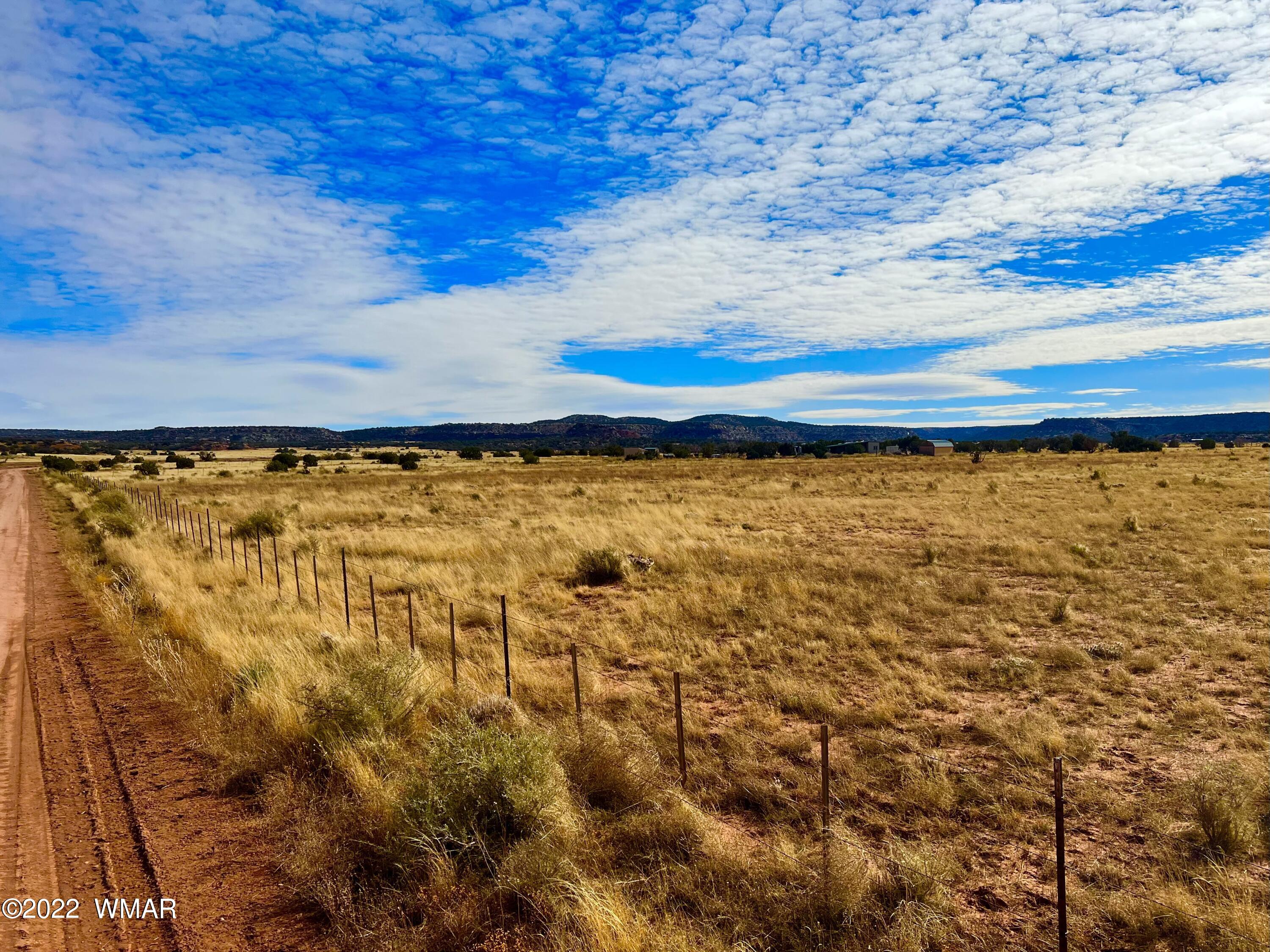40.45 Acres Snowflake Az 85937 Snowflake, AZ 85937 - Photo 19 of 38