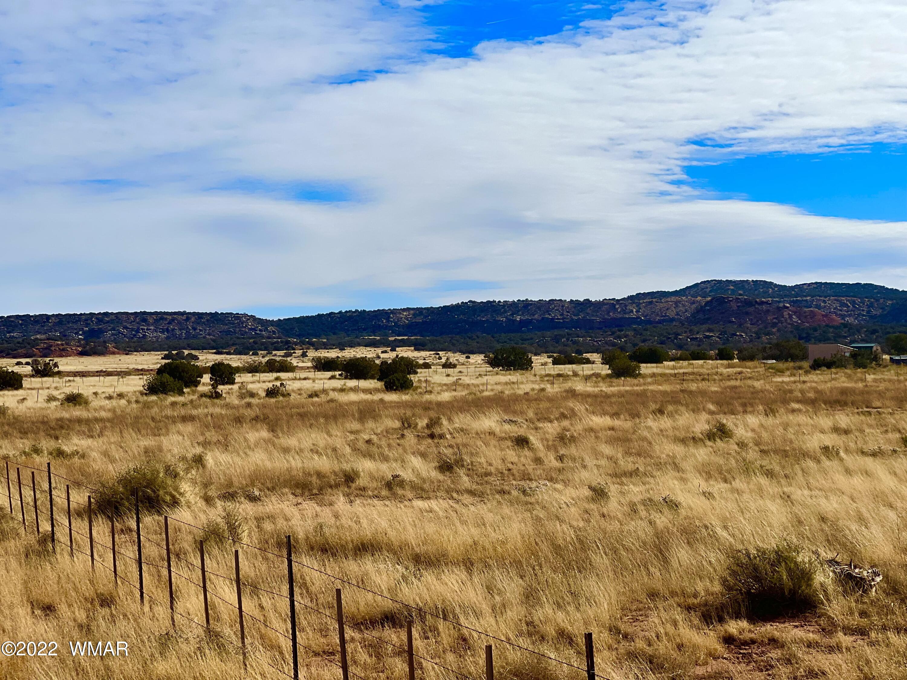 40.45 Acres Snowflake Az 85937 Snowflake, AZ 85937 - Photo 20 of 38