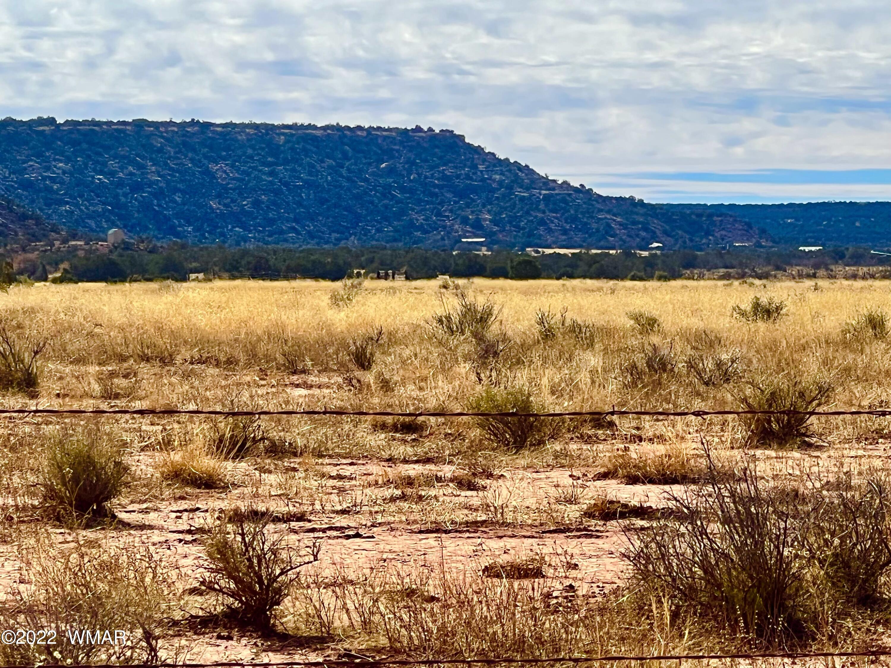 40.45 Acres Snowflake Az 85937 Snowflake, AZ 85937 - Photo 2 of 38