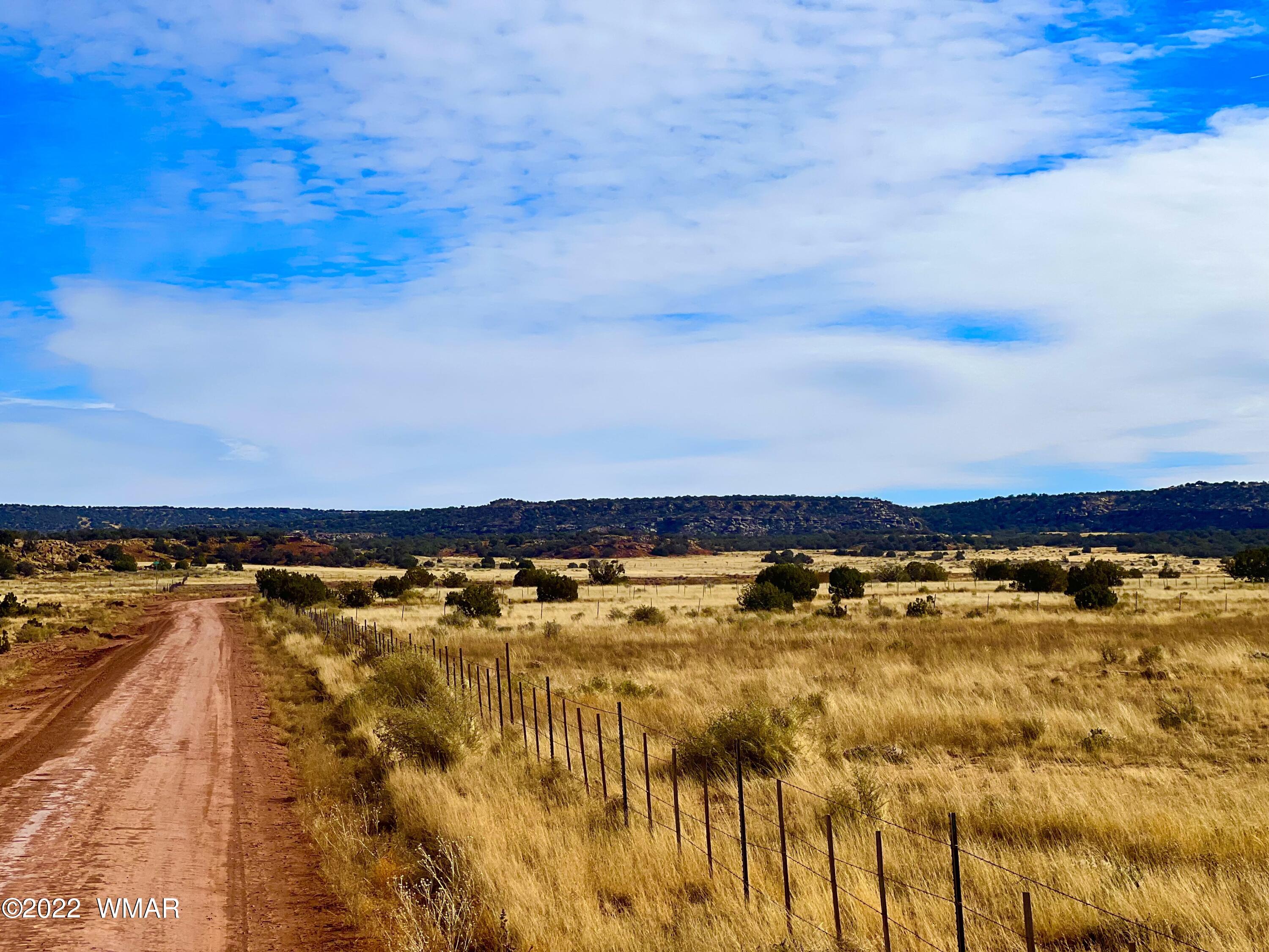 40.45 Acres Snowflake Az 85937 Snowflake, AZ 85937 - Photo 21 of 38
