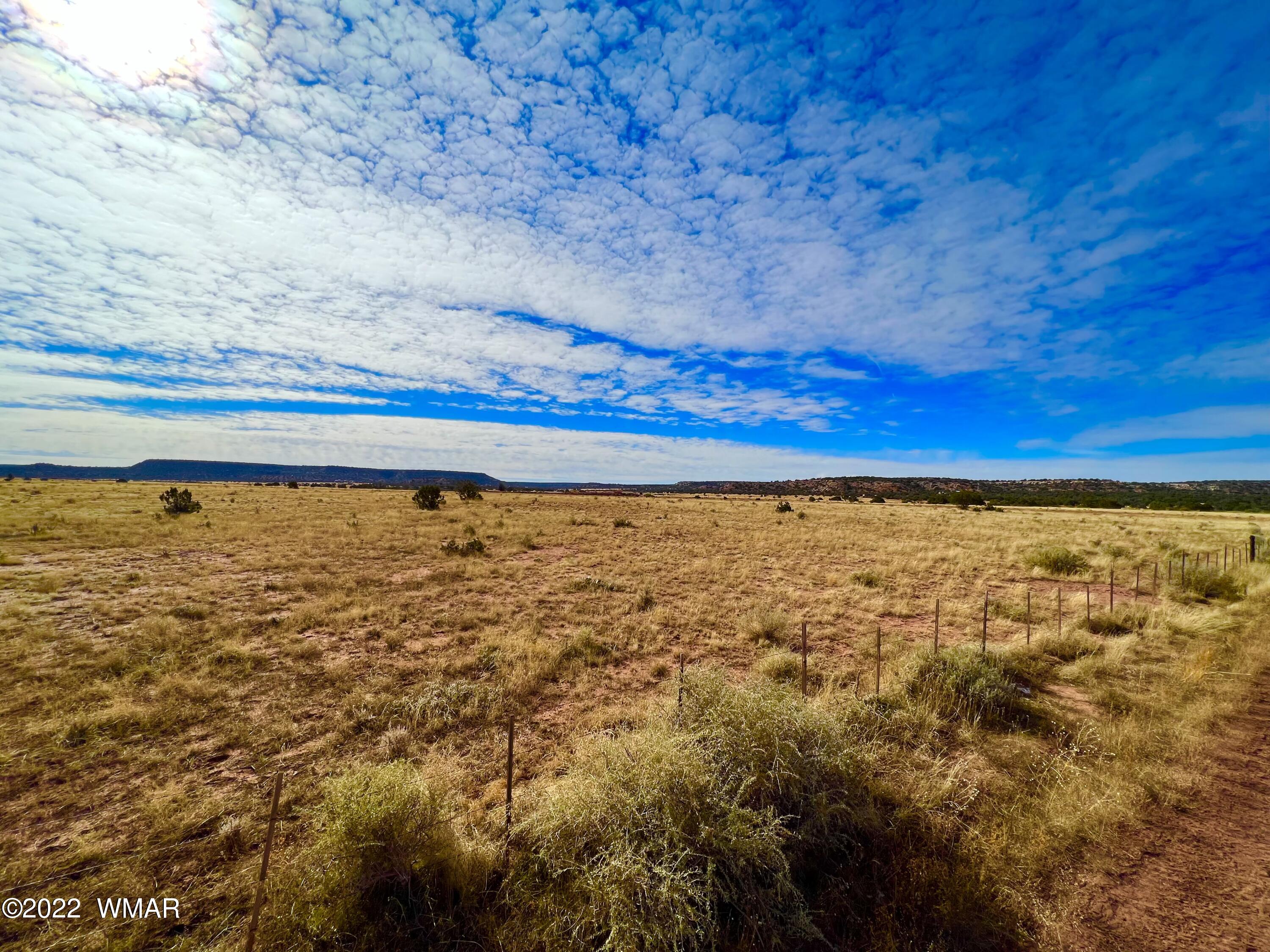 40.45 Acres Snowflake Az 85937 Snowflake, AZ 85937 - Photo 22 of 38
