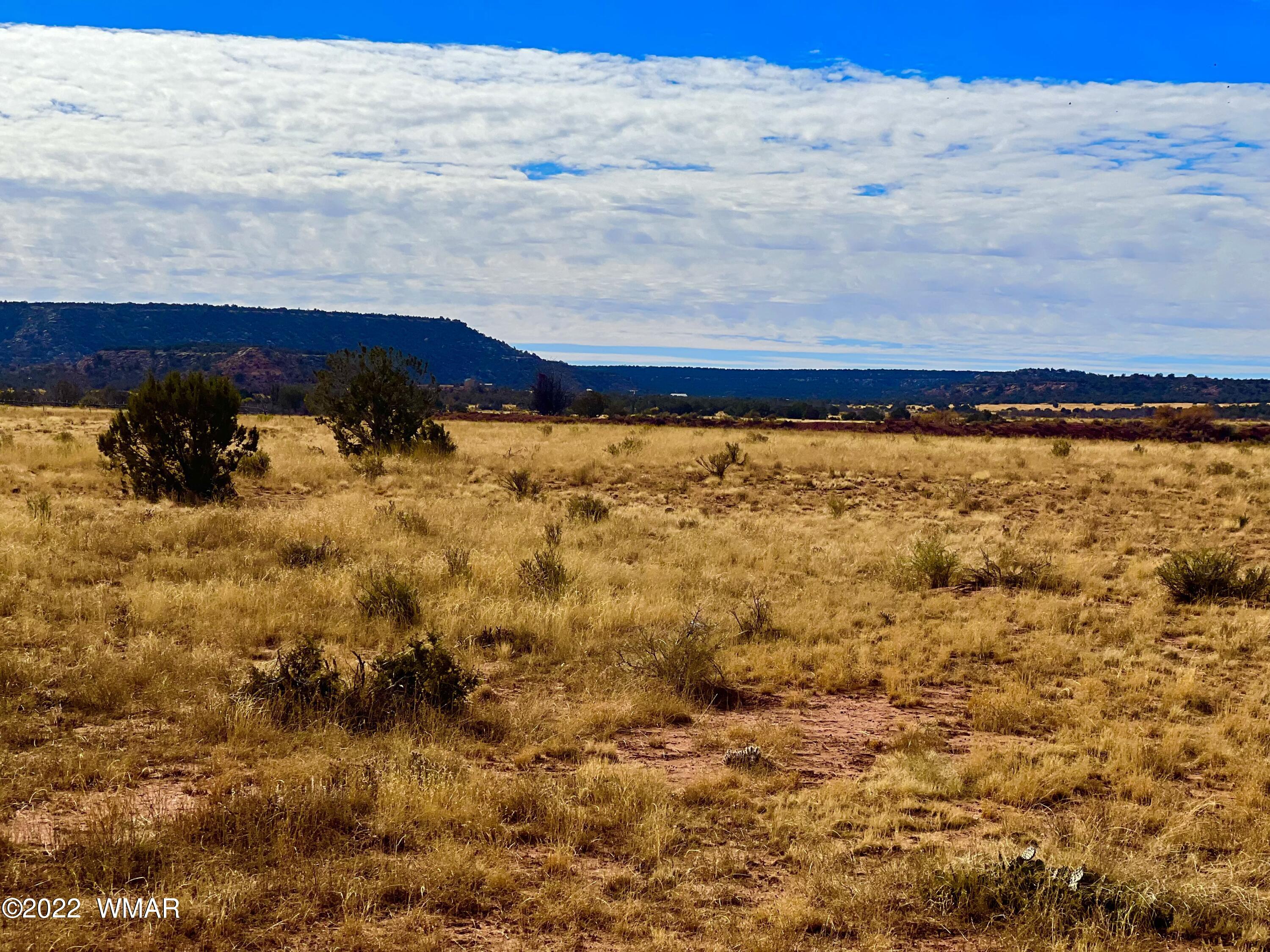 40.45 Acres Snowflake Az 85937 Snowflake, AZ 85937 - Photo 23 of 38