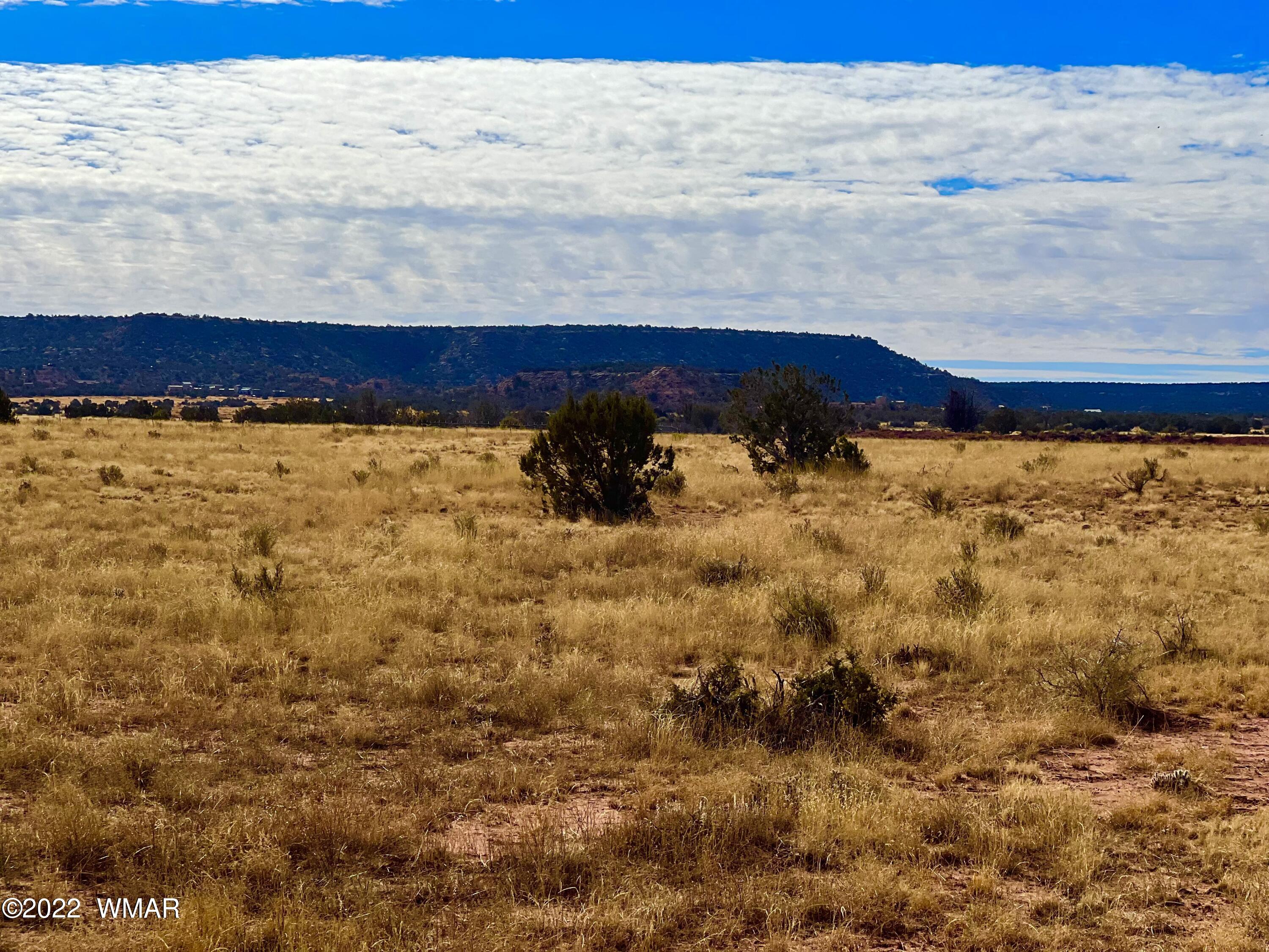 40.45 Acres Snowflake Az 85937 Snowflake, AZ 85937 - Photo 24 of 38