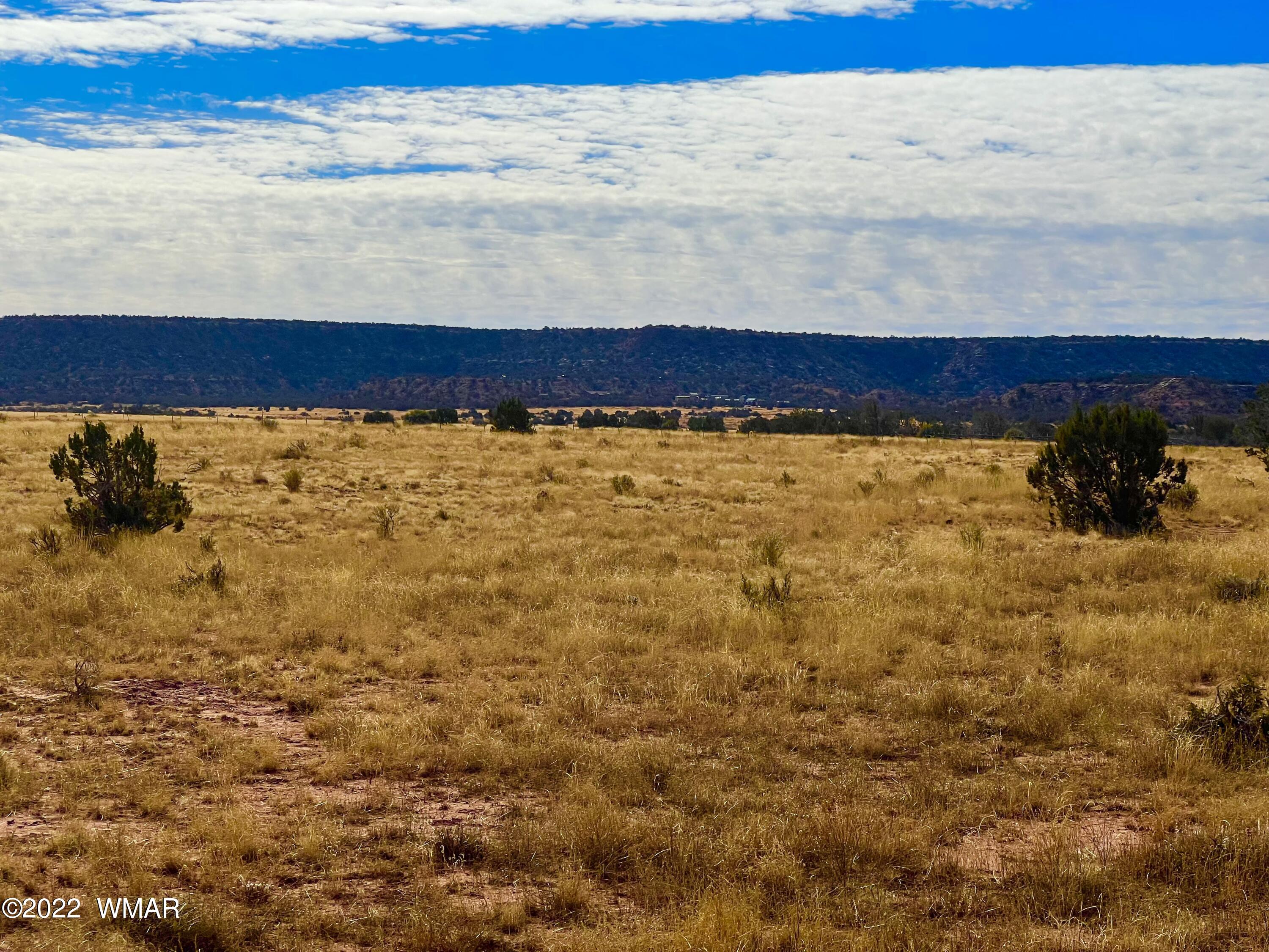 40.45 Acres Snowflake Az 85937 Snowflake, AZ 85937 - Photo 25 of 38