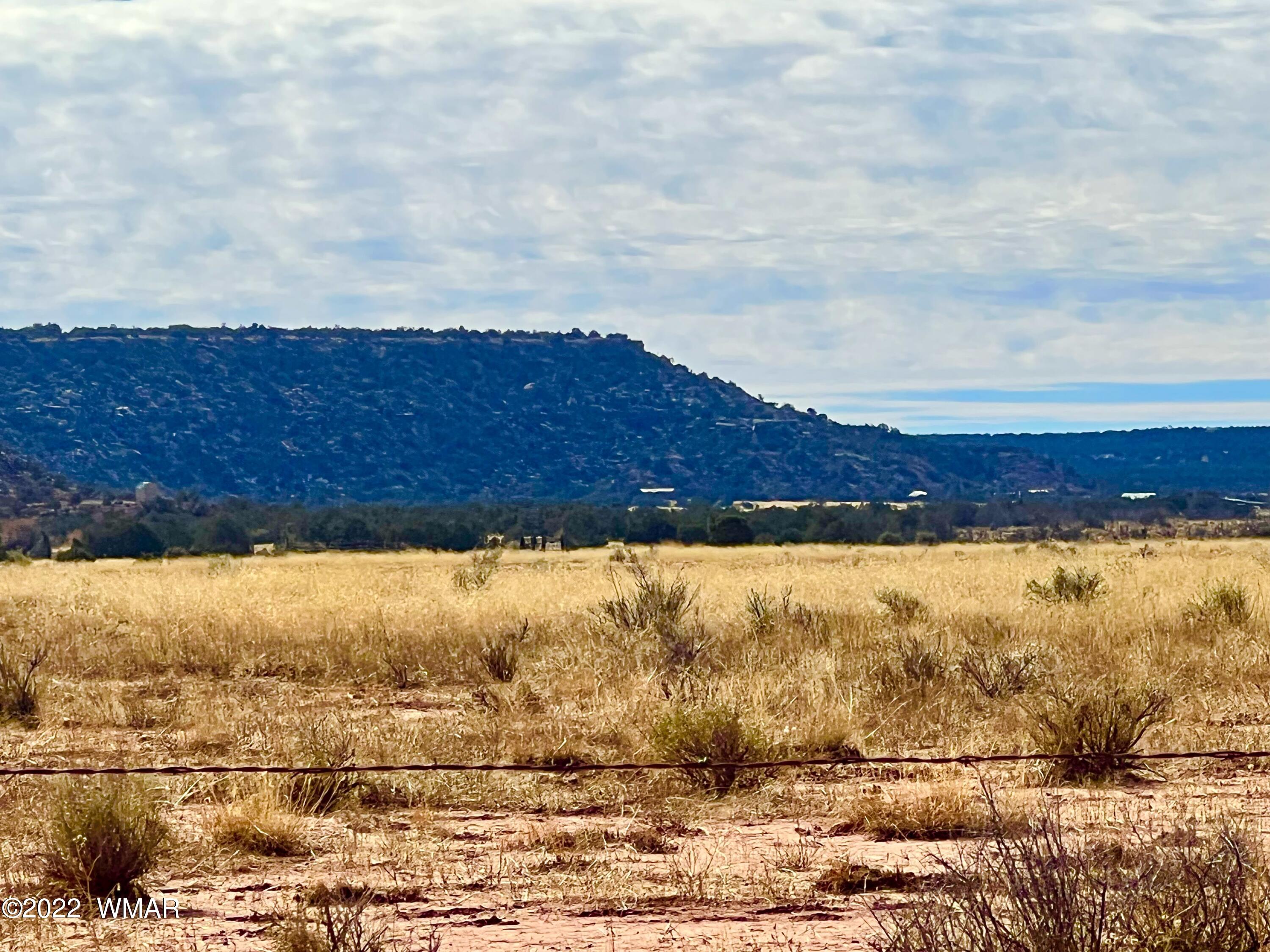 40.45 Acres Snowflake Az 85937 Snowflake, AZ 85937 - Photo 26 of 38