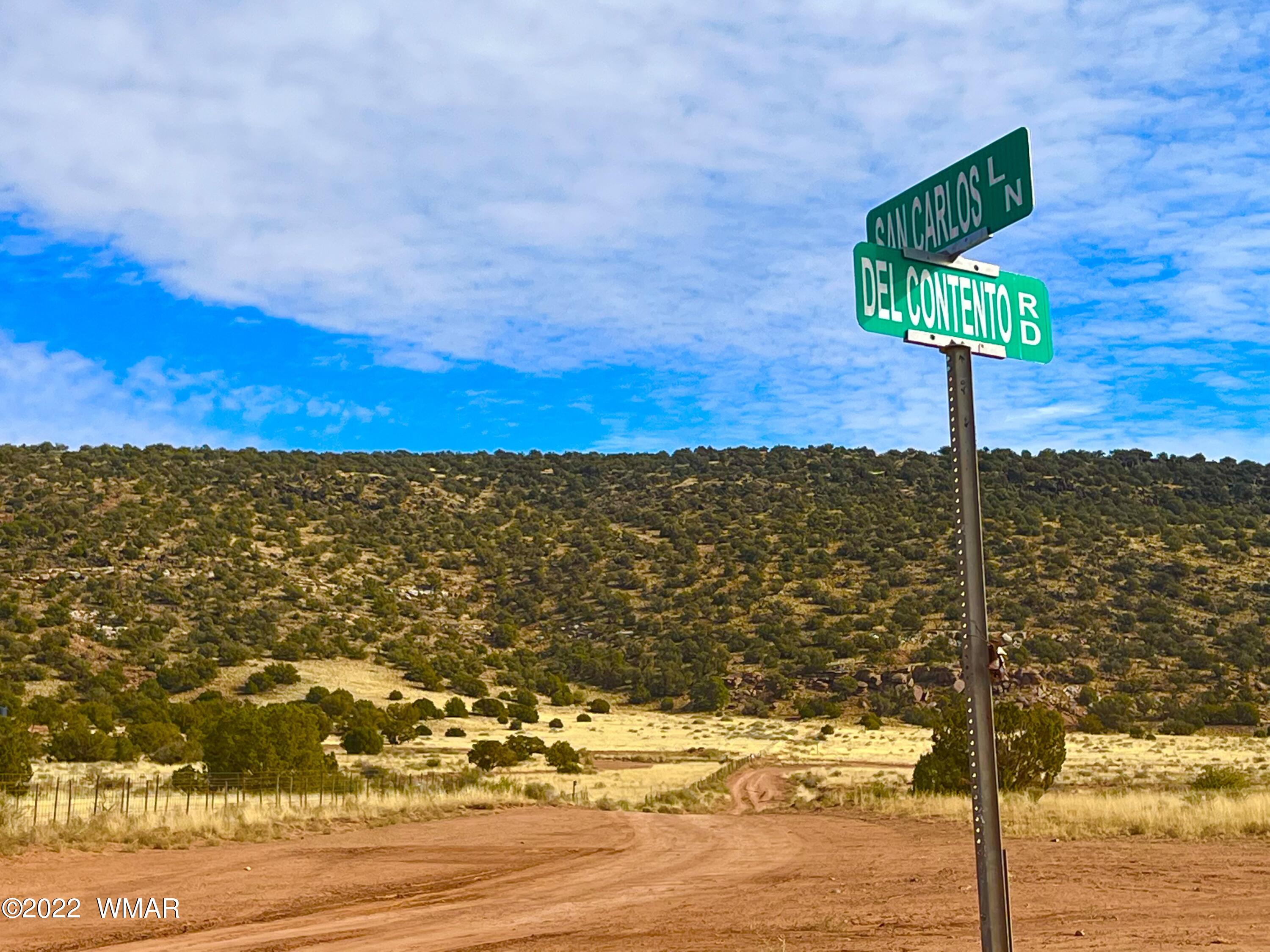 40.45 Acres Snowflake Az 85937 Snowflake, AZ 85937 - Photo 29 of 38