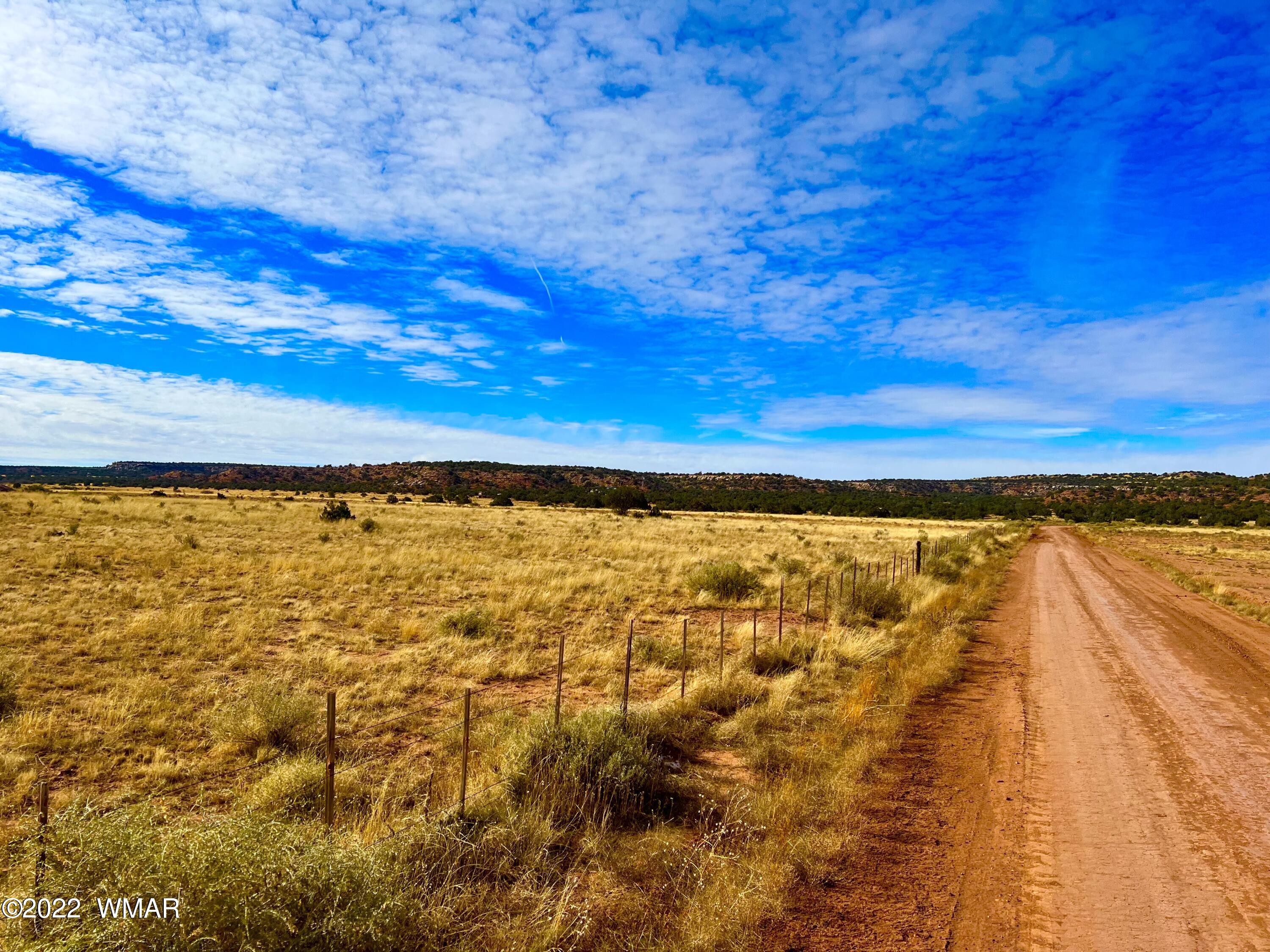 40.45 Acres Snowflake Az 85937 Snowflake, AZ 85937 - Photo 3 of 38