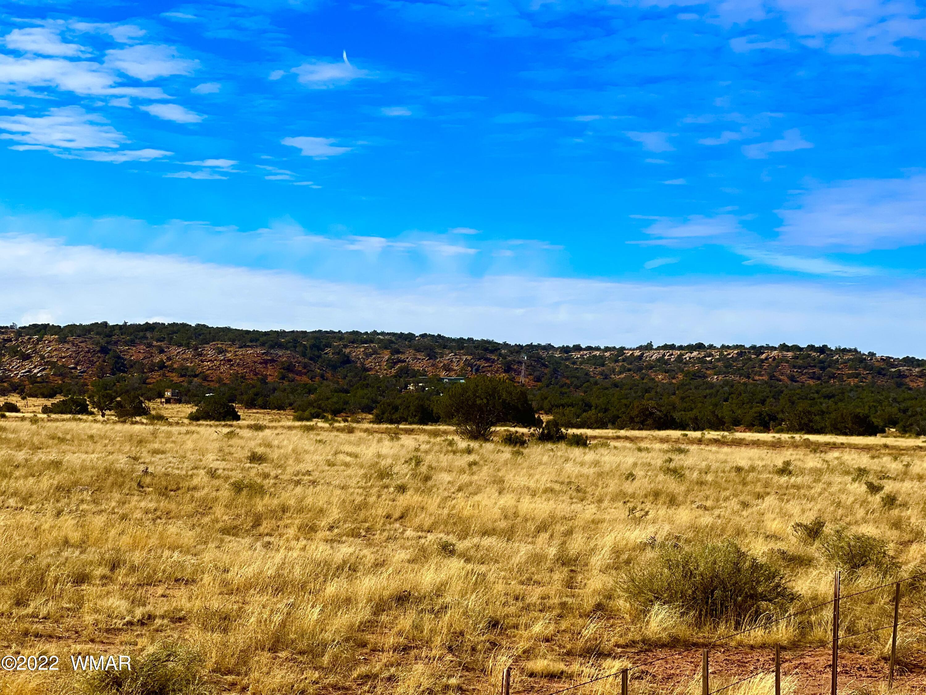 40.45 Acres Snowflake Az 85937 Snowflake, AZ 85937 - Photo 4 of 38