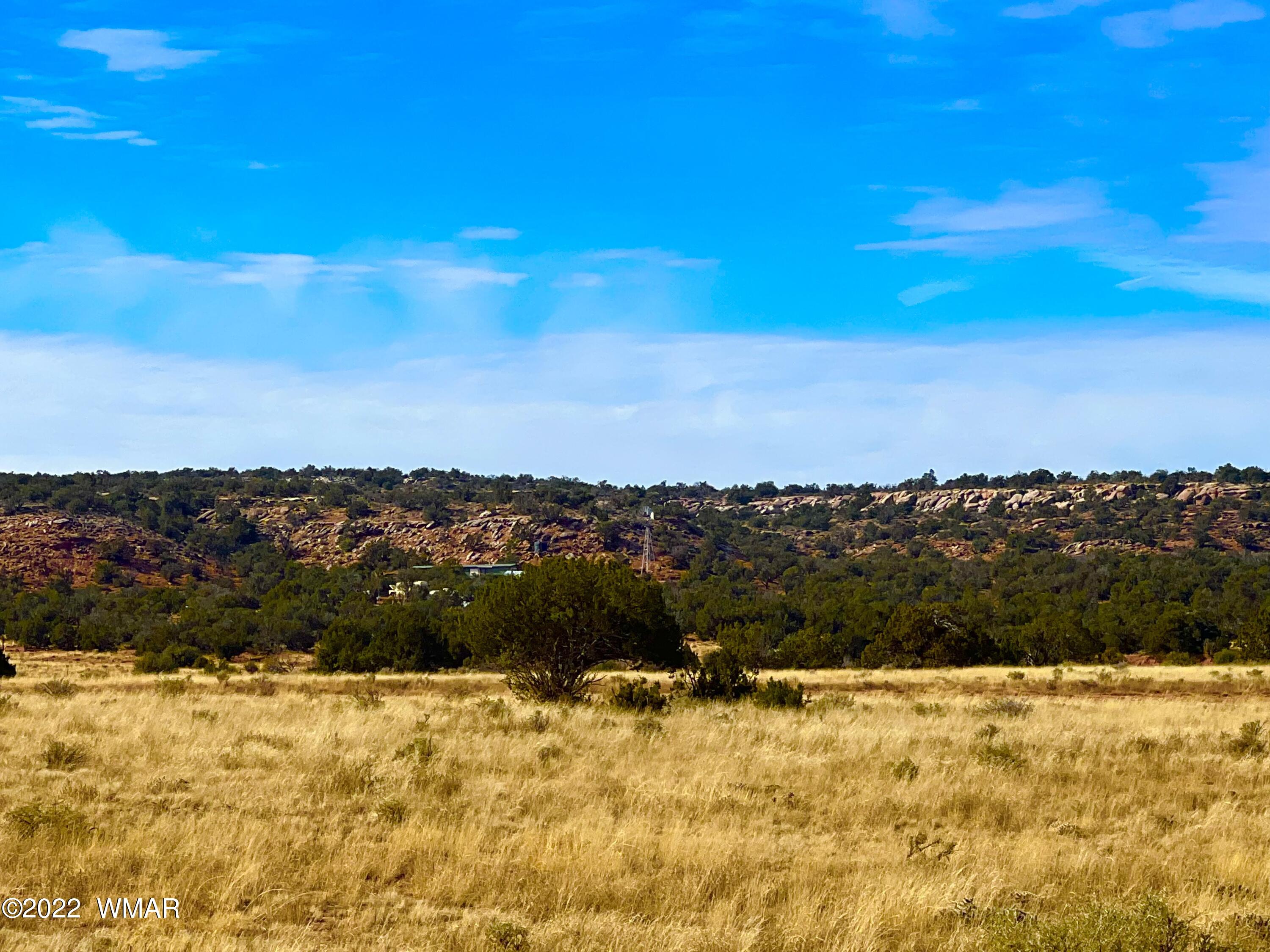 40.45 Acres Snowflake Az 85937 Snowflake, AZ 85937 - Photo 5 of 38