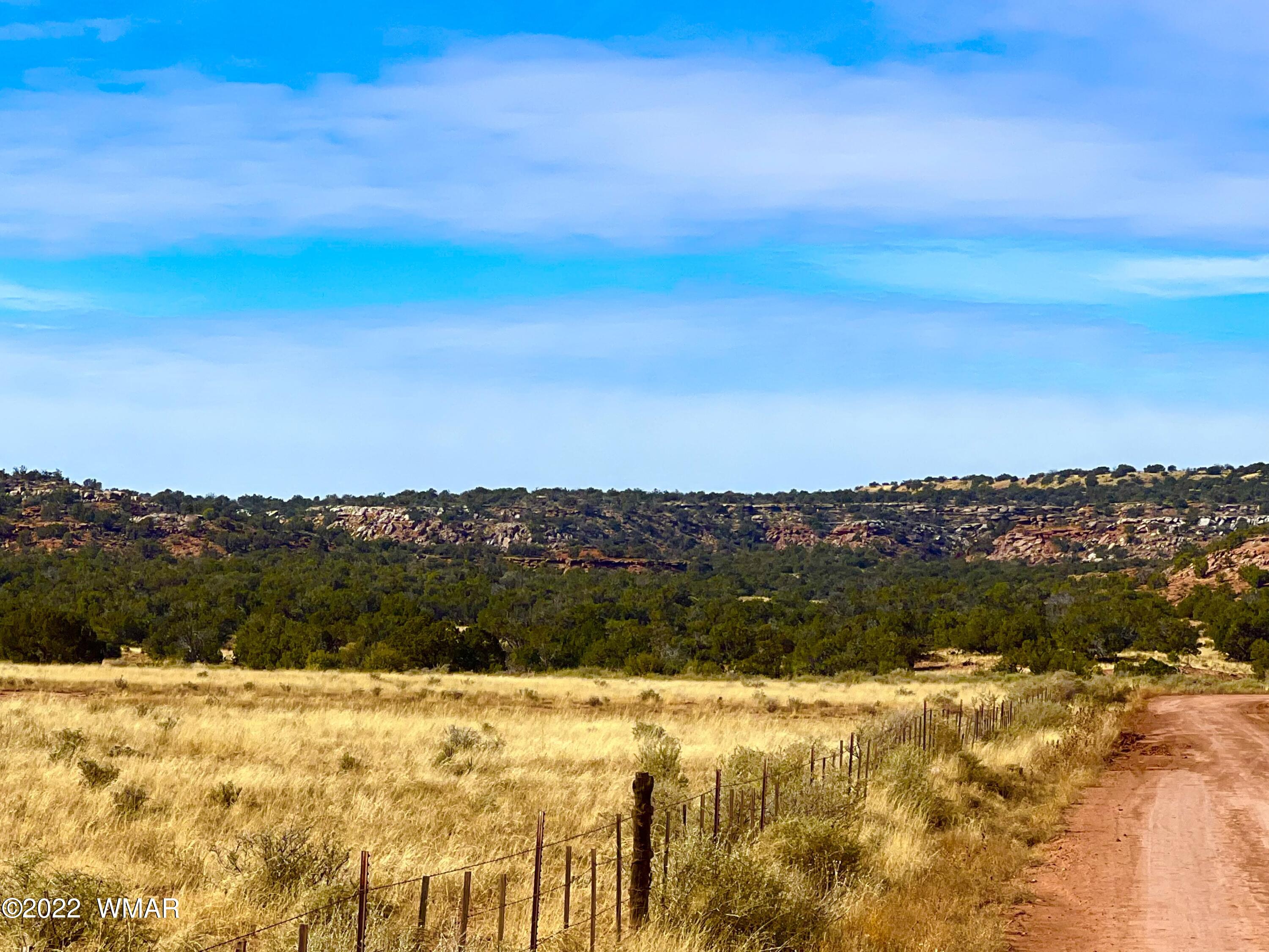 40.45 Acres Snowflake Az 85937 Snowflake, AZ 85937 - Photo 6 of 38