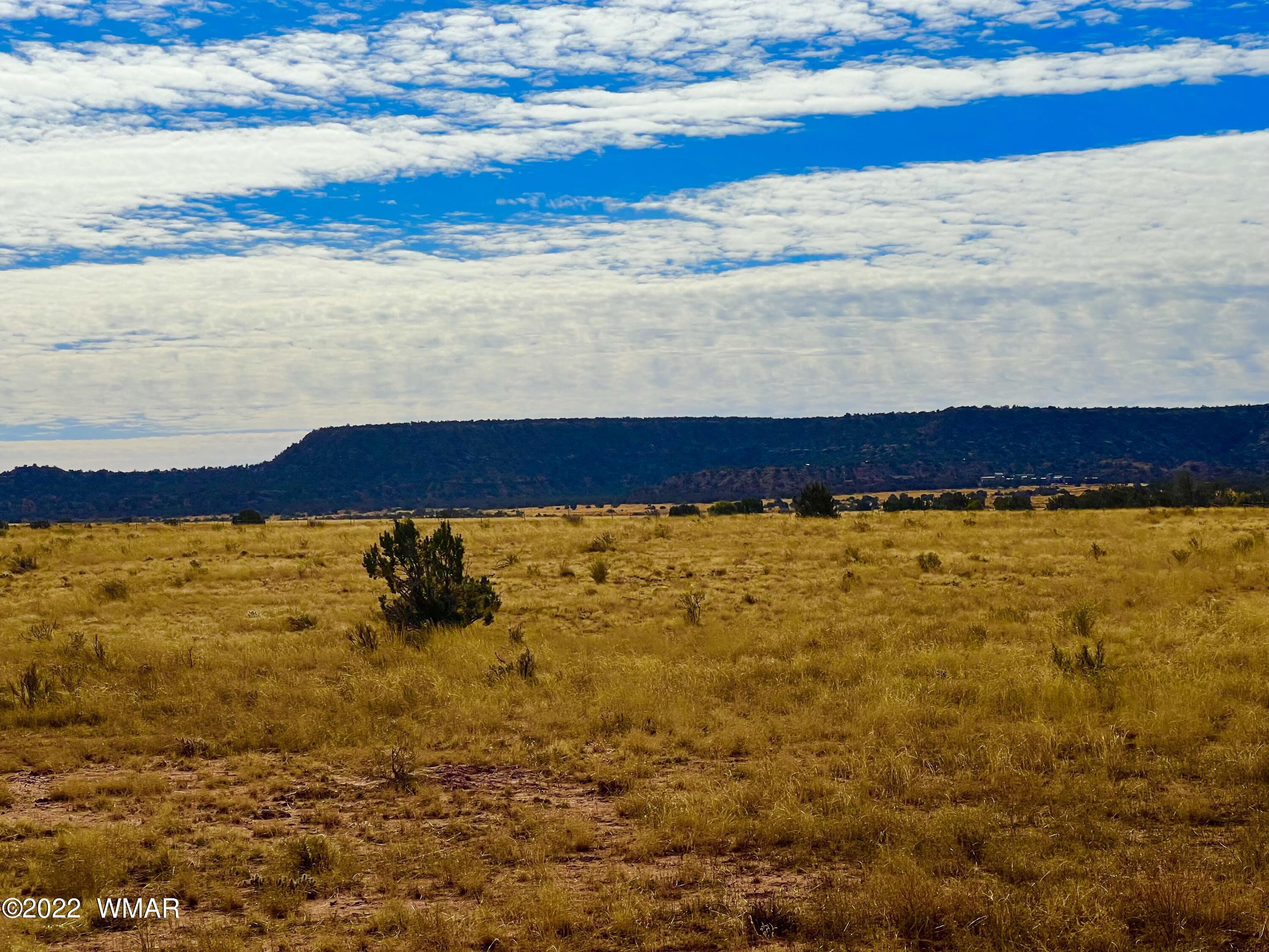 40.45 Acres Snowflake Az 85937 Snowflake, AZ 85937 - Photo 7 of 38