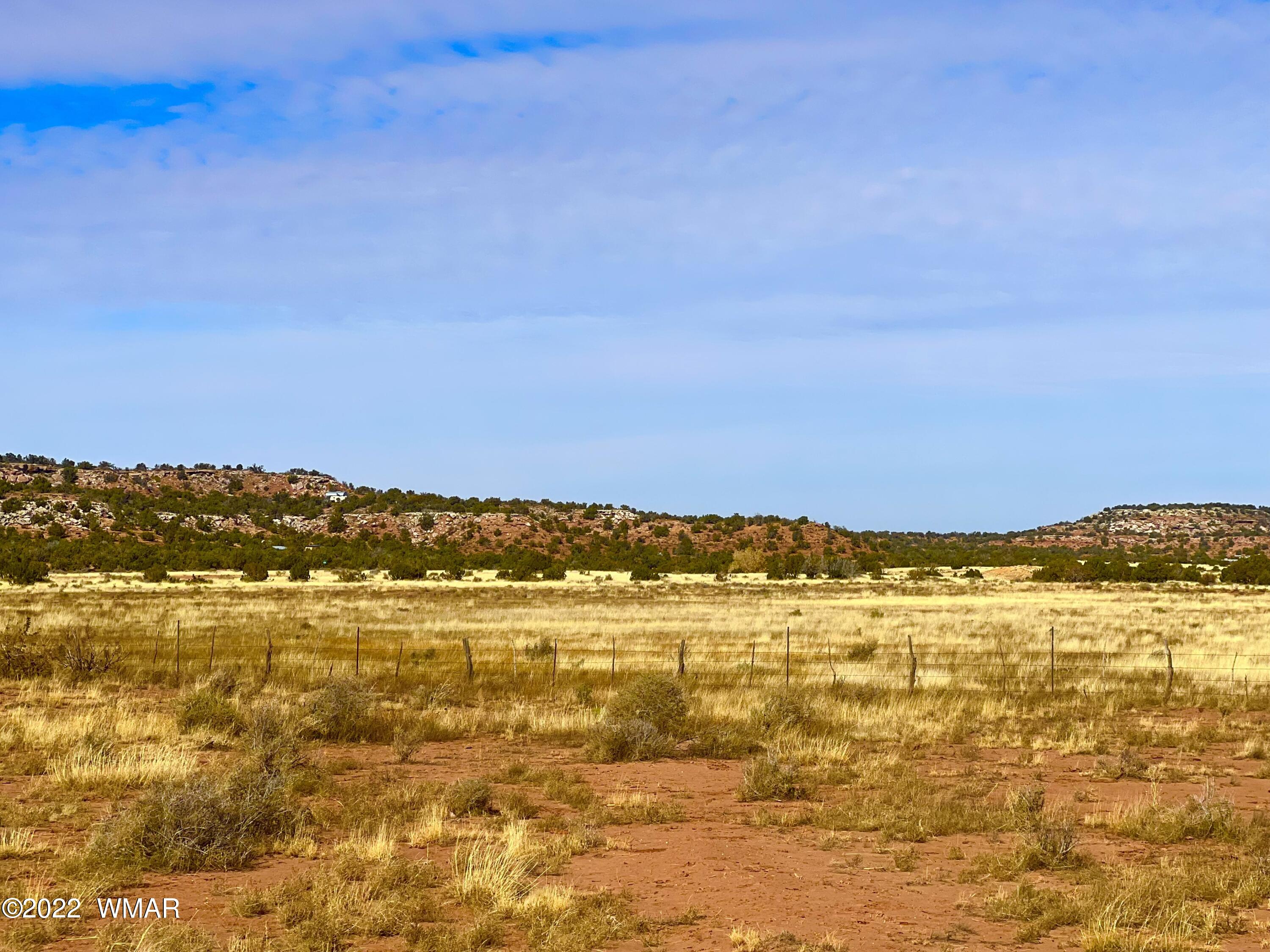 40.45 Acres Snowflake Az 85937 Snowflake, AZ 85937 - Photo 8 of 38