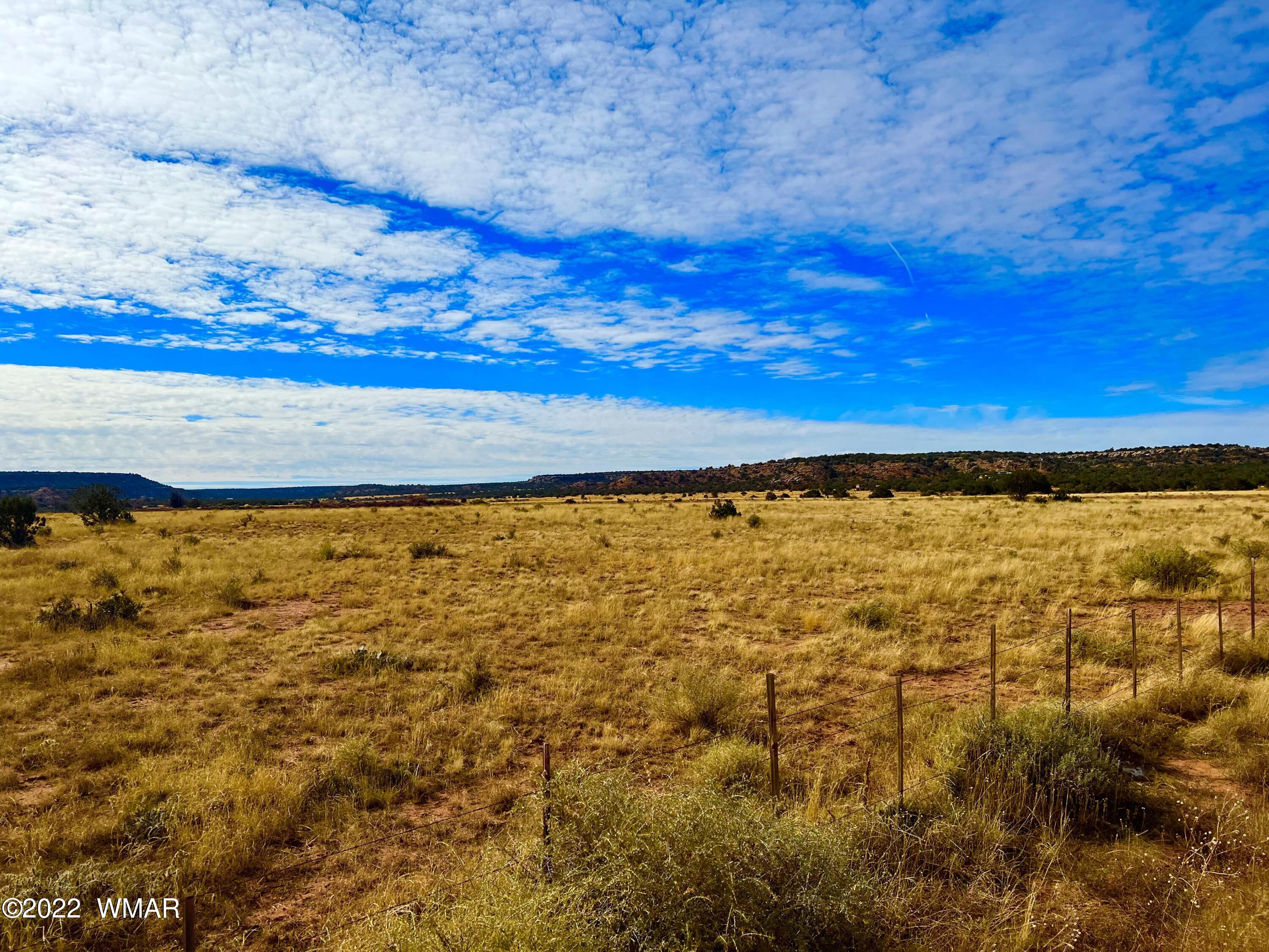 40.45 Acres Snowflake Az 85937 Snowflake, AZ 85937 - Photo 10 of 38