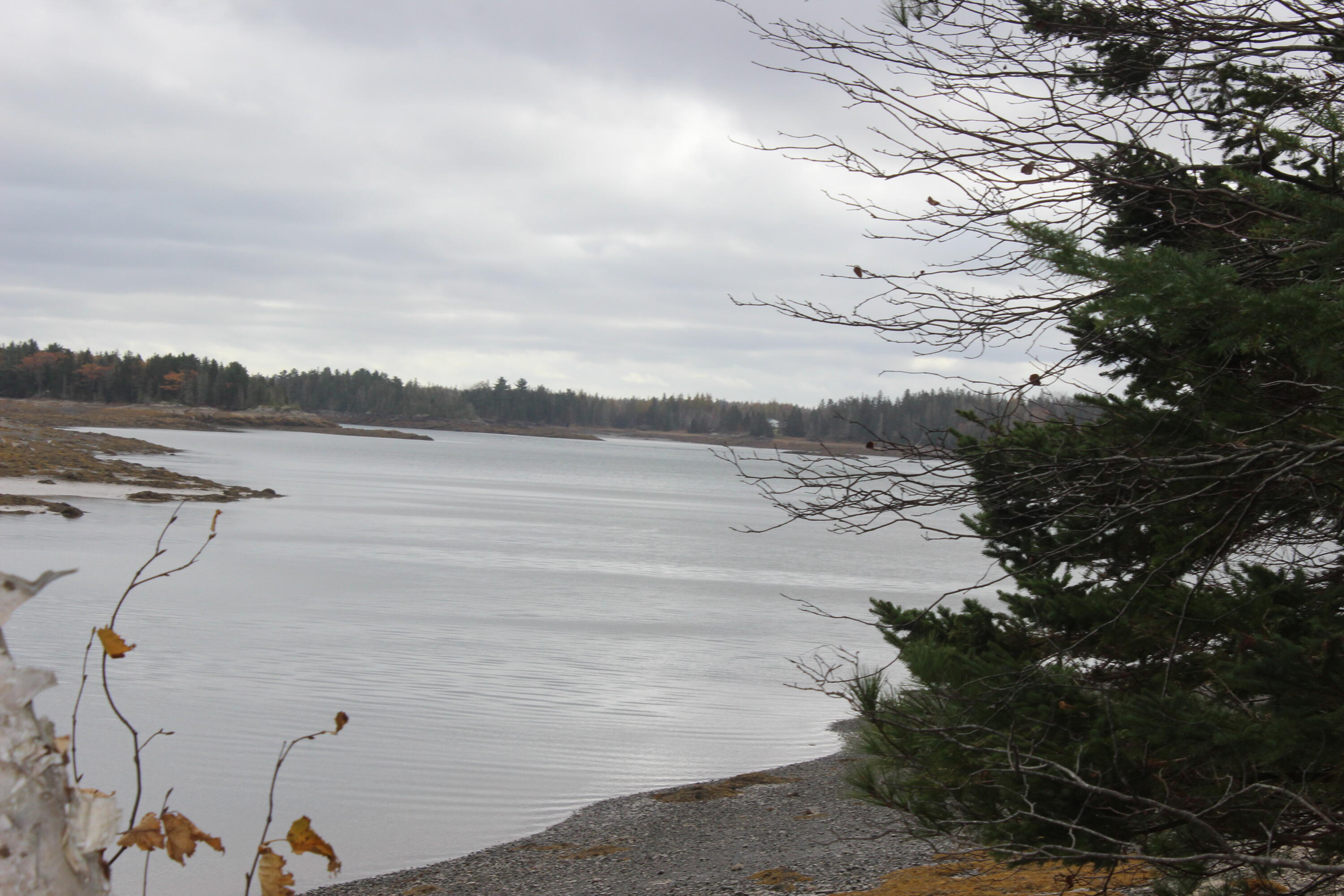 Lot #5 Hardy Point Road Pembroke, ME 04666 - Photo 1 of 19 IMG_3292