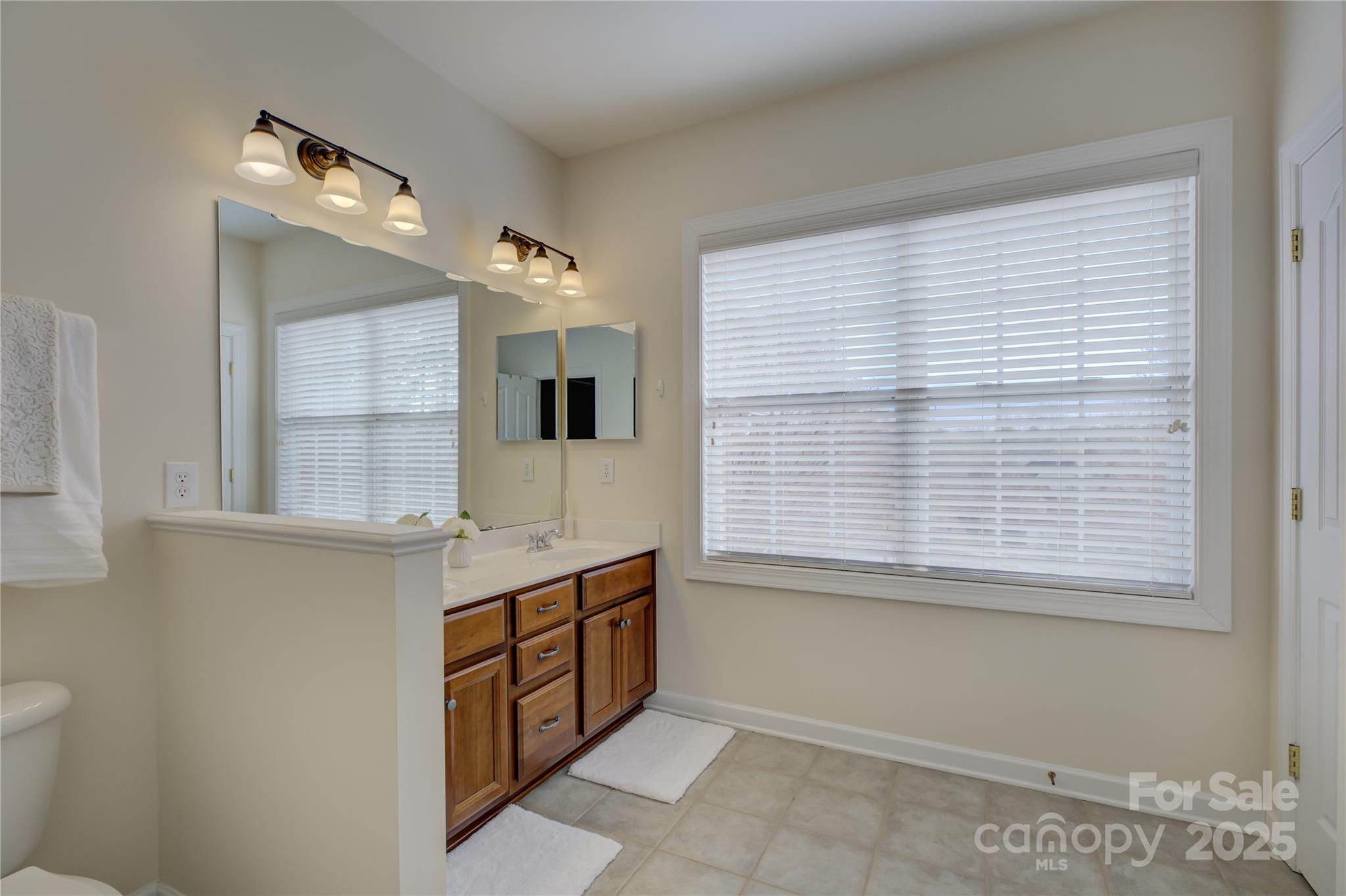 16645 Turtle Point Road Charlotte, NC 28278 - Photo 30 of 48 a bathroom with a sink vanity and mirror
