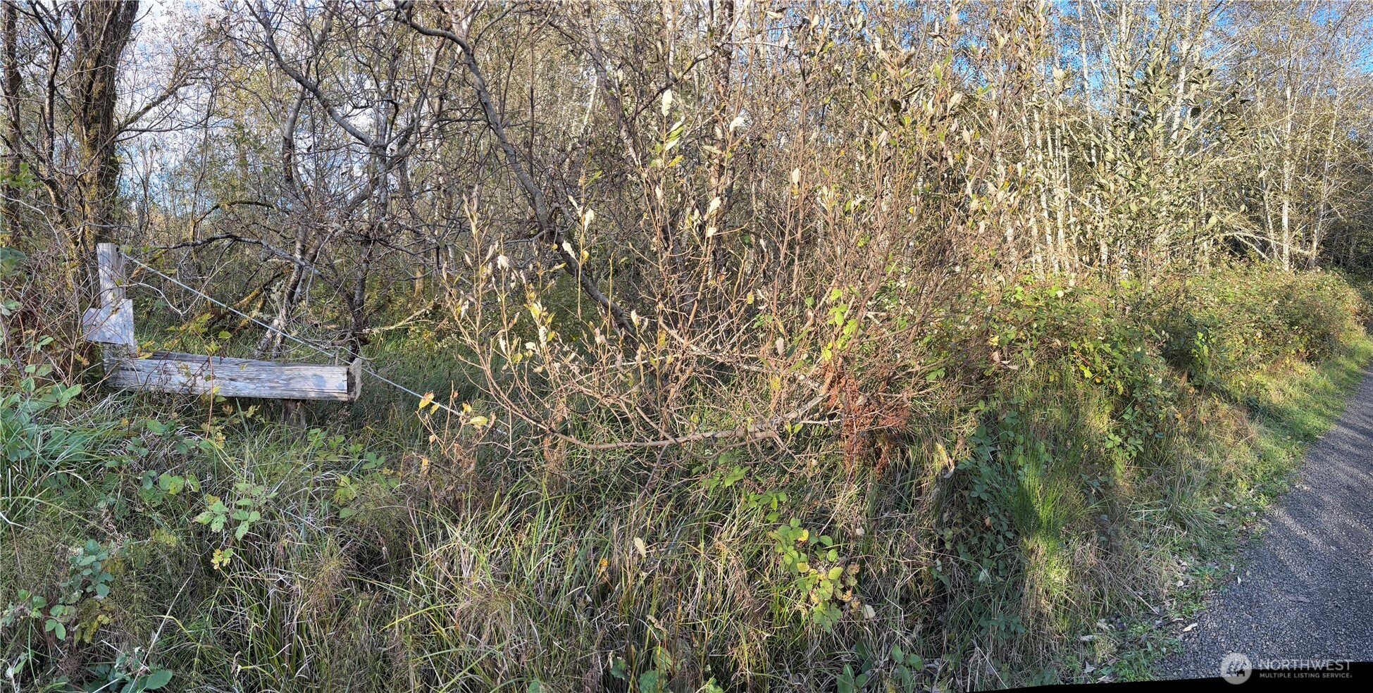 0 Wa-105 Grayland, WA 98547 - Photo 3 of 17 a view of a tree with a yard