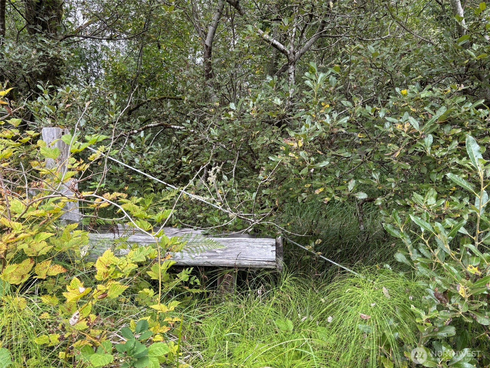 0 Wa-105 Grayland, WA 98547 - Photo 7 of 17 a backyard of a house with table and chairs