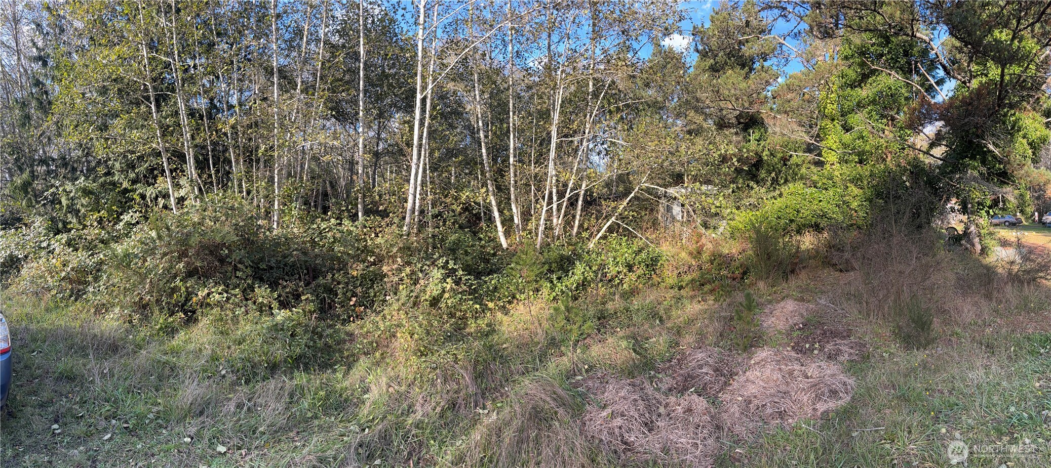 0 Wa-105 Grayland, WA 98547 - Photo 8 of 17 a view of a yard with a tree