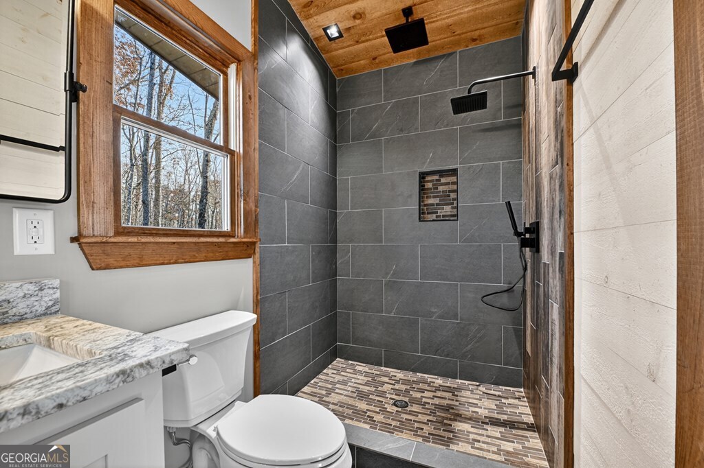 21 Mountain Trace Cherry Log, GA 30522 - Photo 34 of 49 a bathroom with a sink toilet and shower