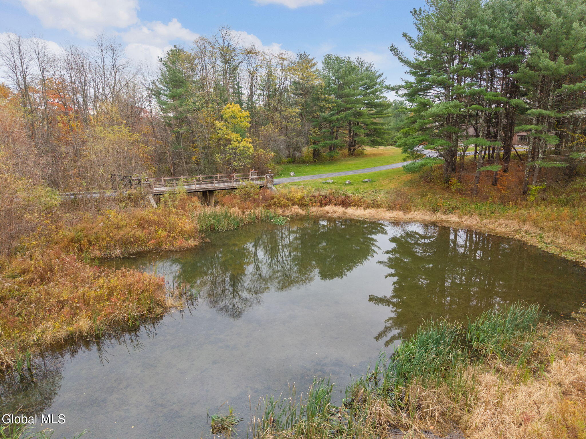 3041 Mariaville Road Rotterdam, NY 12306 - Photo 78 of 92 78-3041MariavilleRd_78