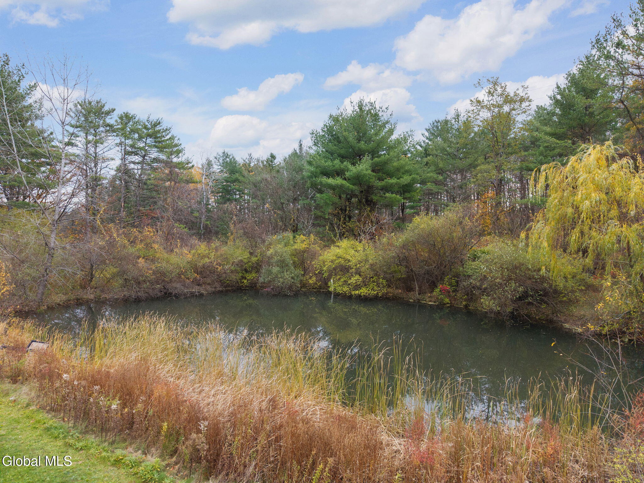 3041 Mariaville Road Rotterdam, NY 12306 - Photo 79 of 92 79-3041MariavilleRd_79