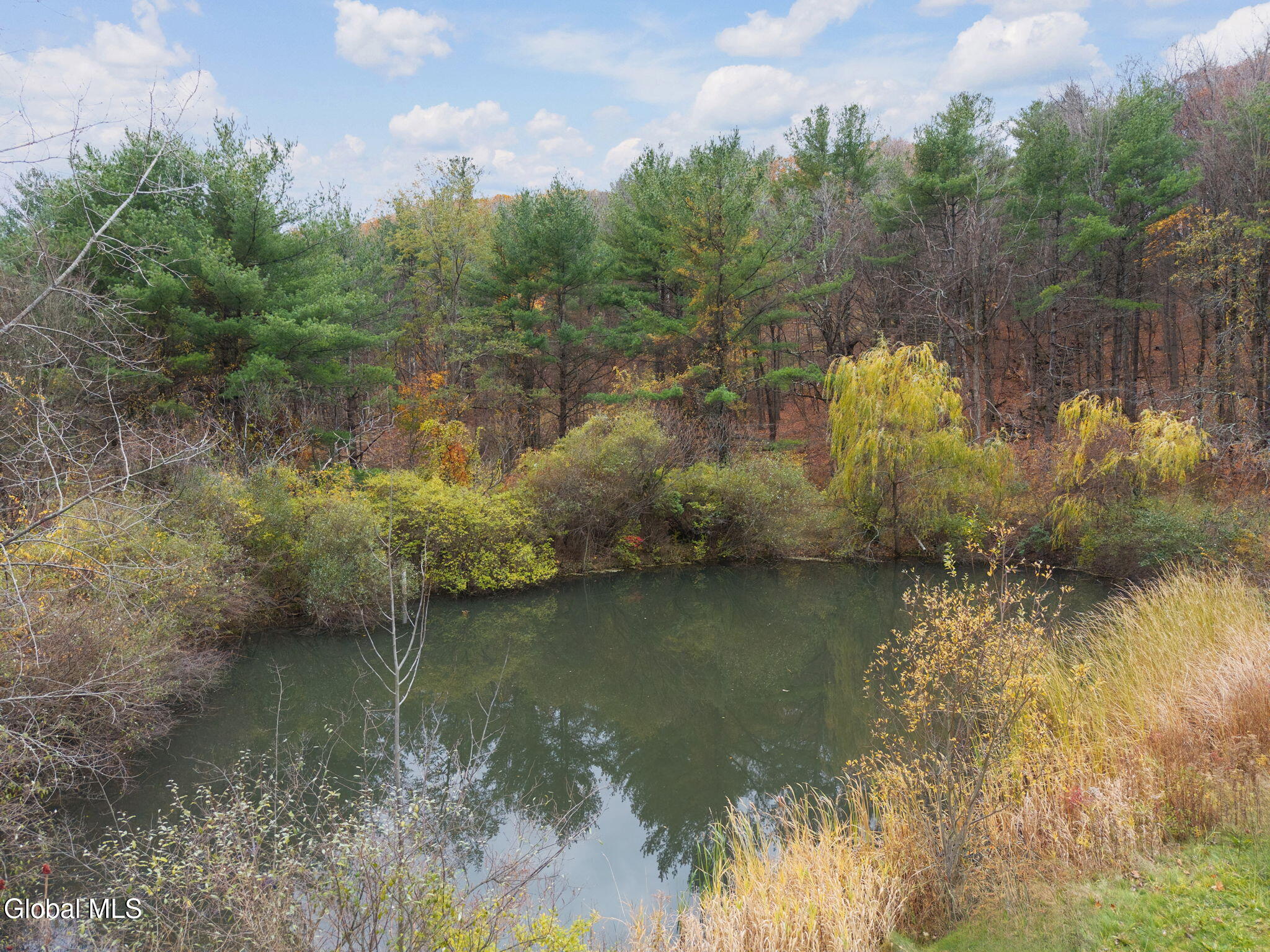 3041 Mariaville Road Rotterdam, NY 12306 - Photo 83 of 92 83-3041MariavilleRd_83